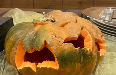 Ein geschnitzter Kürbis mit gruseligem Gesicht steht auf einem Tisch, umgeben von einem transparenten Tuch. Der Kürbis zeigt eine furchterregende Mimik.