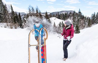 Tobogganing fun in the region