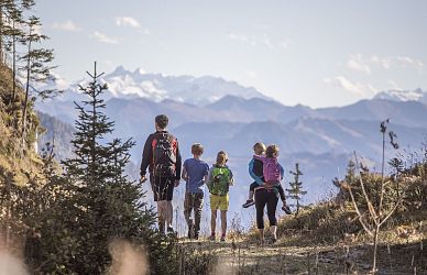 Eine Familie wandert auf einem Bergpfad mit Blick auf schneebedeckte Gipfel. Die Landschaft ist gesäumt von Nadelbäumen unter einem klaren blauen Himmel.