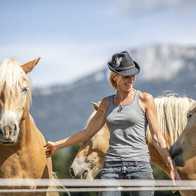 Pferde auf unserer Hundsbichl Alm