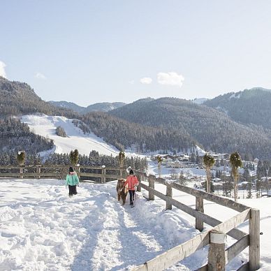 Hundsbichl with view to the ski lift