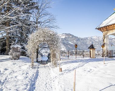 Unsere Arrangements im Winter