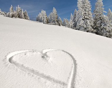 Flittertage am Lärchenhof